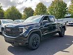 2024 GMC Sierra 1500 Double Cab 4WD, Pickup for sale #386860 - photo 3