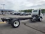 2024 Chevrolet LCF 5500XD Regular Cab RWD, Cab Chassis for sale #24184 - photo 2