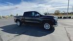 Used 2024 Chevrolet Silverado 1500 LT Crew Cab 2WD, Pickup for sale #T31102 - photo 3