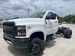 2024 Chevrolet Silverado 5500 Regular Cab DRW 4WD, Cab Chassis for sale #F10798 - photo 1