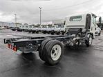 New 2024 Chevrolet LCF 4500XD Regular Cab RWD, Cab Chassis for sale #R7K02851 - photo 6