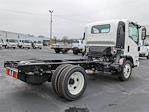 2024 Chevrolet LCF 4500HG Regular Cab RWD, Cab Chassis for sale #RS221416 - photo 6