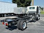 2024 Chevrolet LCF 5500HD Regular Cab RWD, Cab Chassis for sale #R7901435 - photo 2