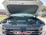 2024 GMC Sierra 1500 Crew Cab 4WD, Pickup for sale #GN9235 - photo 32