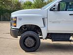 2023 Chevrolet Silverado 5500 Crew Cab DRW 4x4, Cab Chassis for sale #C230314 - photo 8