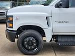 New 2024 Chevrolet Silverado 5500 Work Truck Regular Cab 4x2, Cab Chassis for sale #C240301 - photo 8