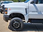 New 2024 Chevrolet Silverado 5500 Work Truck Crew Cab 4x2, Cab Chassis for sale #C240323 - photo 8