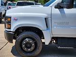 New 2024 Chevrolet Silverado 5500 Work Truck Regular Cab 4x2, Cab Chassis for sale #C240372 - photo 8