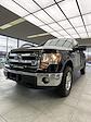 2014 Ford F-150 SuperCrew Cab 4x4, Pickup for sale #24F269A - photo 1