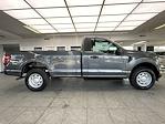 New 2024 Ford F-150 XL Regular Cab 4x4, Pickup for sale #24F422 - photo 3