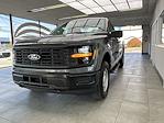 2024 Ford F-150 Regular Cab 4x4, Pickup for sale #24F422 - photo 1