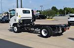 2024 Chevrolet LCF 3500HG Regular Cab RWD, Cab Chassis for sale #V206265 - photo 5