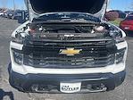 2025 Chevrolet Silverado 3500 Regular Cab 4WD, Pickup for sale #172699 - photo 22