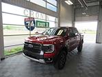 New 2024 Ford Ranger XLT SuperCrew Cab 4WD, Pickup for sale #F21674 - photo 1