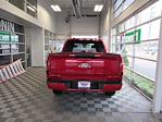 New 2024 Ford F-150 STX SuperCrew Cab 4WD, Pickup for sale #F21754 - photo 5