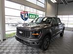 New 2024 Ford F-150 STX SuperCrew Cab 4WD, Pickup for sale #F21779 - photo 1
