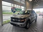 New 2024 Ford F-150 XLT SuperCrew Cab 4WD, Pickup for sale #F22075 - photo 1