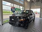 New 2024 Ford F-150 STX SuperCrew Cab 4WD, Pickup for sale #F22110 - photo 1