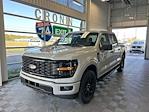 New 2024 Ford F-150 STX SuperCrew Cab 4WD, Pickup for sale #F22330 - photo 1