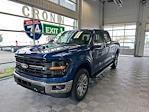 New 2024 Ford F-150 XLT SuperCrew Cab 4WD, Pickup for sale #F22387 - photo 1