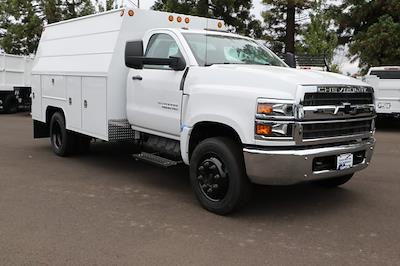 New 2024 Chevrolet Silverado 5500 Work Truck Regular Cab 2WD, 11' Scelzi Signature Service Truck for sale #M775914 - photo 1