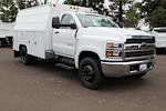 New 2024 Chevrolet Silverado 5500 Work Truck Regular Cab 2WD, 11' Scelzi Signature Service Truck for sale #M775914 - photo 1