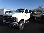 New 2024 Chevrolet Silverado 6500 Regular Cab 4x2, Cab Chassis for sale #RH263416 - photo 1