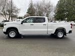 New 2024 Chevrolet Silverado 1500 Work Truck Crew Cab 4x4, Pickup for sale #V12129 - photo 19