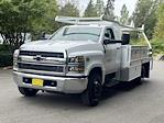 New 2024 Chevrolet Silverado 5500 Work Truck Regular Cab RWD, 12' Scelzi CTFB Contractor Truck for sale #V12376 - photo 4