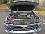 New 2024 Chevrolet Colorado LT Crew Cab 4x4, Pickup for sale #V12383 - photo 15