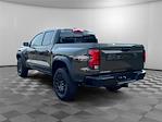 New 2024 Chevrolet Colorado Trail Boss Crew Cab 4x4, Pickup for sale #V12386 - photo 4