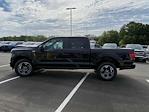 2024 Ford F-150 SuperCrew Cab 4x2, Pickup for sale #B6692 - photo 6