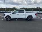 2024 Ford F-150 SuperCrew Cab 4x2, Pickup for sale #B6761 - photo 20