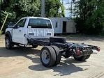 2024 Ford F-450 Regular Cab DRW 4x2, Cab Chassis for sale #B6096 - photo 4