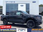 2024 Ford F-150 SuperCrew Cab 4x4, Pickup for sale #B6338 - photo 1