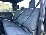 2024 Ford F-150 SuperCrew Cab 4x4, Pickup for sale #B6371 - photo 5