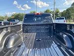 2024 Ram 3500 Crew Cab DRW 4x4, Pickup for sale #57830 - photo 25