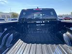 New 2025 Ram 1500 Lone Star Crew Cab 4x4, Pickup for sale #D57780 - photo 33