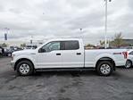 2020 Ford F-150 SuperCrew Cab 4WD, Pickup for sale #LKE49504W - photo 6