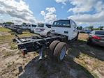 New 2024 Ford F-550 Crew Cab 4x4, Cab Chassis for sale #REC38319 - photo 2