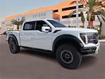 New 2024 Ford F-150 Raptor SuperCrew Cab 4x4, Pickup for sale #RFB86064 - photo 1