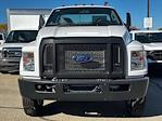 2024 Ford F-650 Regular Cab DRW 4x2, Cab Chassis for sale #C40360 - photo 3