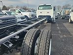 2024 Ford F-650 Regular Cab DRW 4x2, Cab Chassis for sale #C40372 - photo 3