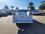 2024 Ford F-250 Regular Cab RWD, Knapheide Steel Service Body Service Truck for sale #1706580 - photo 5