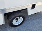 New 2025 Ford E-450 Standard RWD, Rockport Box Van for sale #1739927 - photo 12