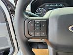 2024 Ford F-250 Regular Cab 4WD, Pickup for sale #1758510 - photo 16