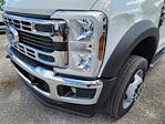 2024 Ford F-550 Crew Cab DRW 4WD, Cab Chassis for sale #1826364 - photo 9