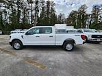 2024 Ford F-150 SuperCrew Cab 4WD, Pickup for sale #1835772 - photo 8