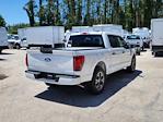 2024 Ford F-150 SuperCrew Cab RWD, Pickup for sale #1836453 - photo 6