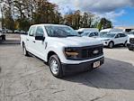 New 2024 Ford F-150 XL SuperCrew Cab RWD, Pickup for sale #1840751 - photo 4